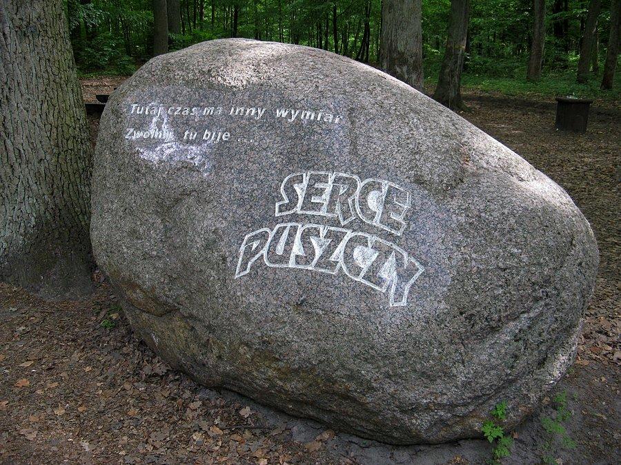 Puszcza Bukowa - jeden z głazów