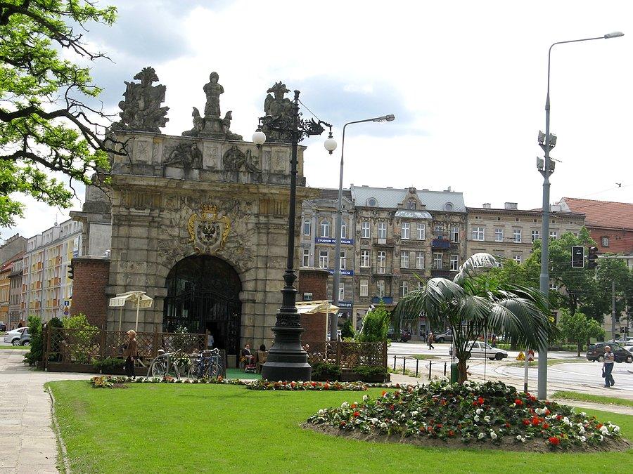 Palma na pl. Hołdu Pruskiego w Szczecinie