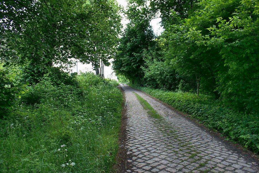 Brukowana droka przy torach (przystanek Grzędzice Stargardzkie)