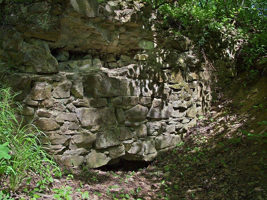 Ruiny zamku Trzewlin