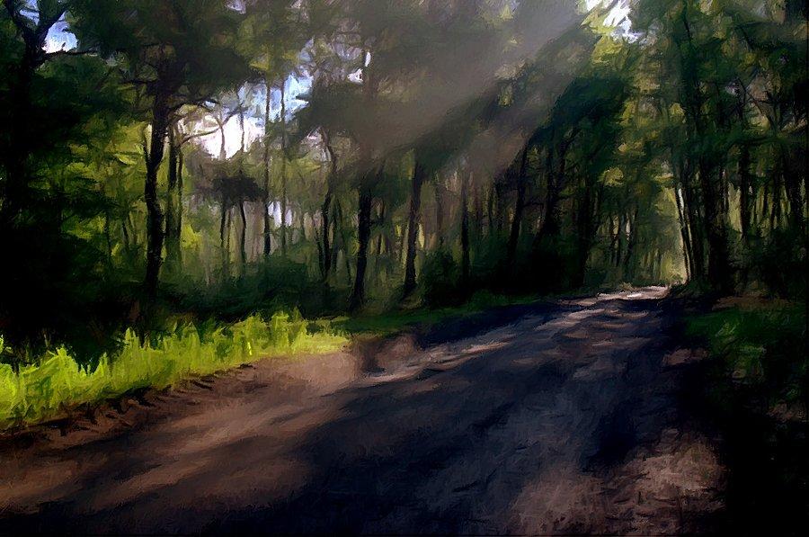 W lesie - fotosketcher