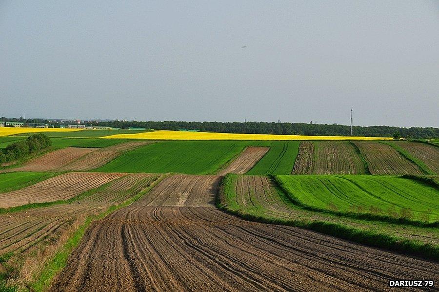 Przełajka – dzielnica Siemianowic Śląskich