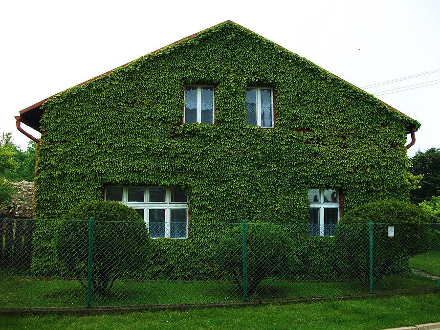 Zarośnięty ;)