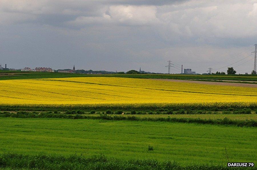 Przełajka - Kapliczka