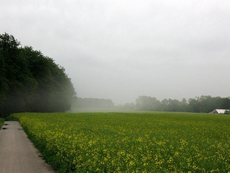 Okolice Zaborowa