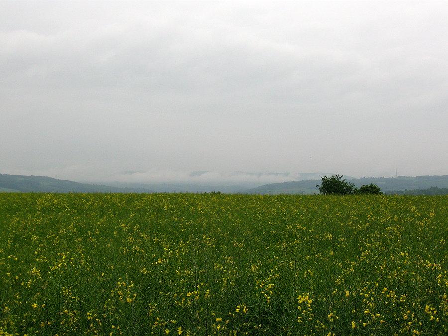 Widok na okolice Strzyżowa i Żarnowej