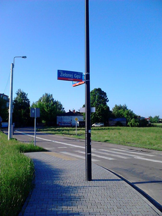 Ulica Zielonej Gęsi w Gołąbkach
