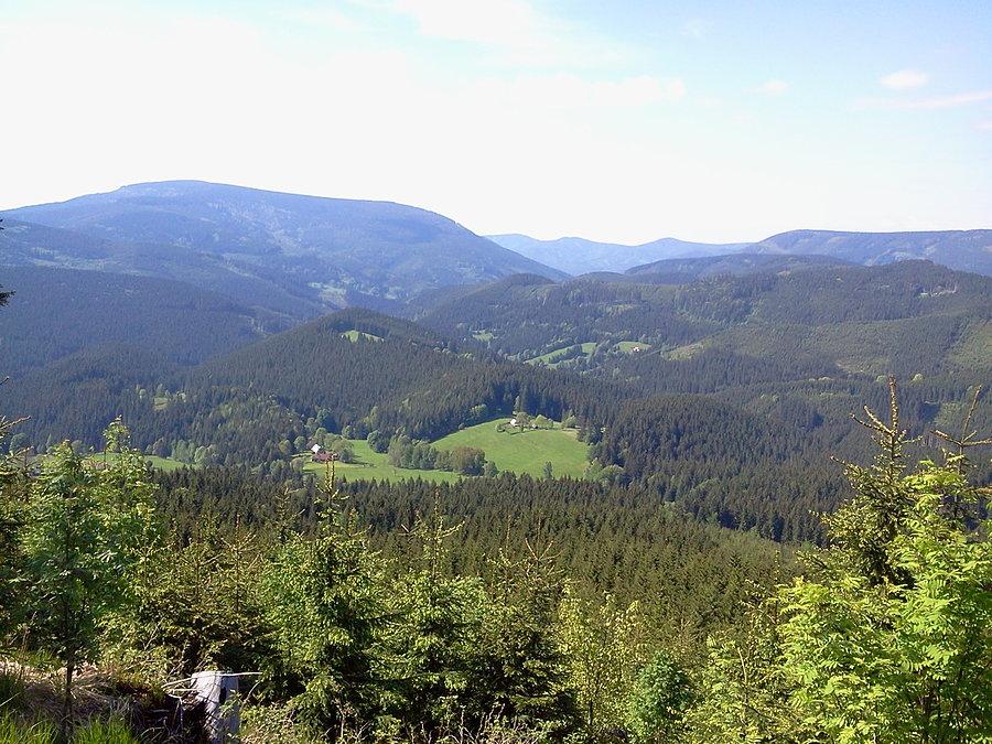 Widok na Trawny