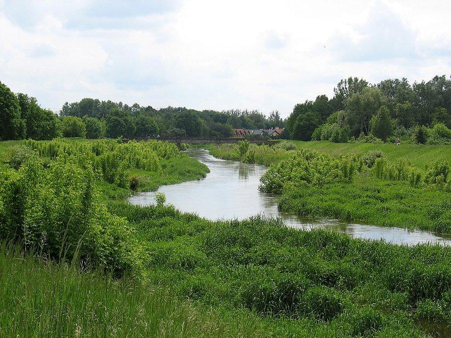 Jeziorka w Jeziornie