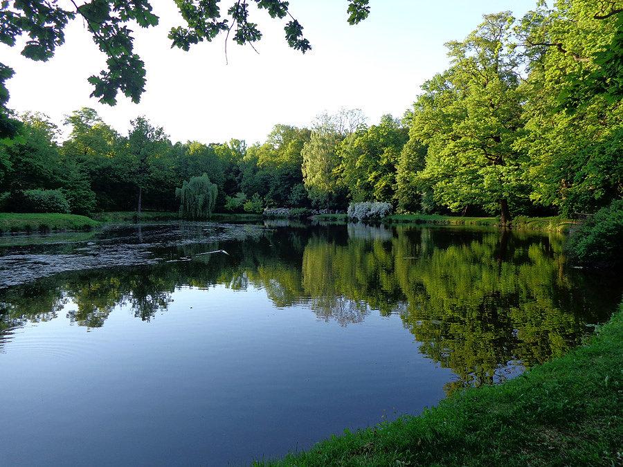 Staw w parku leśnickim