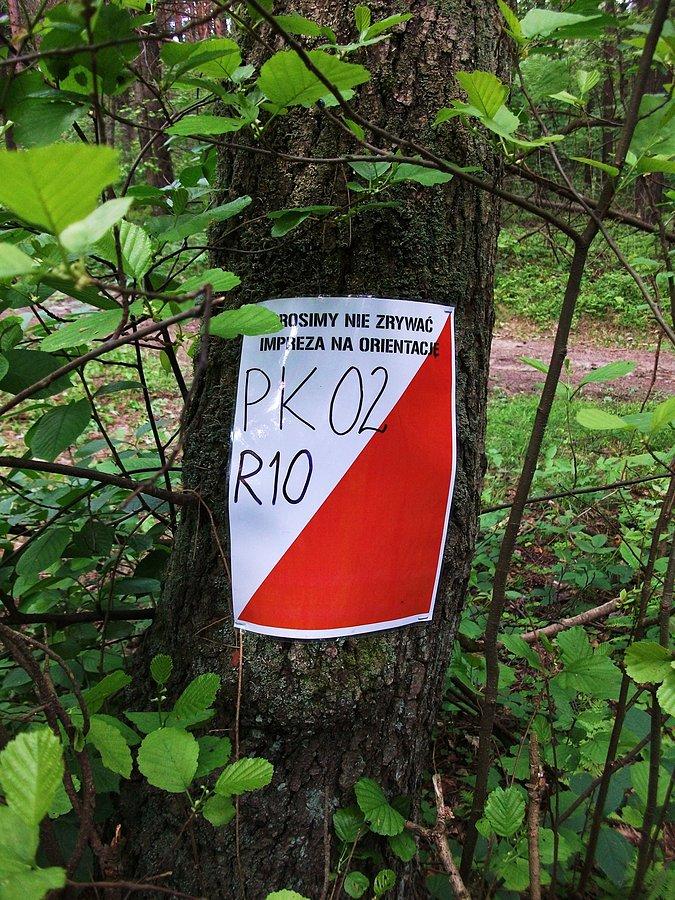 Punkt