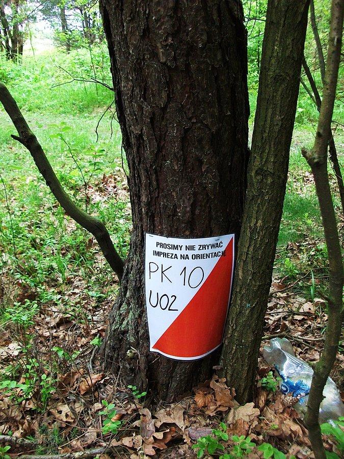 Punkt