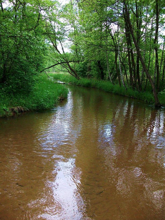 Rzeka