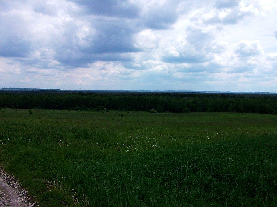 Widok