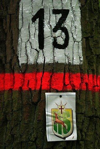 Znak Hubertusa