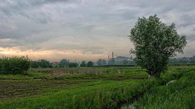 Czyżby to zwiastun rozpogodzenia?