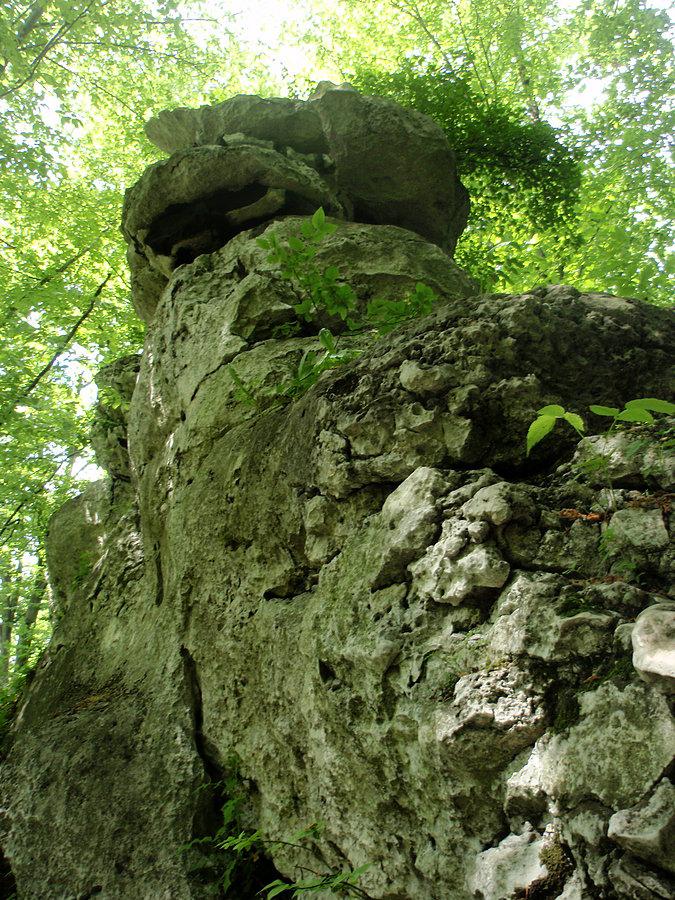 Skałka w Sokolich