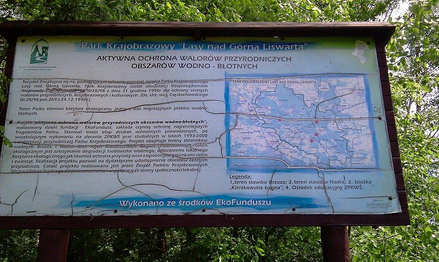 "Brzoza" nasze ulubione miejsce