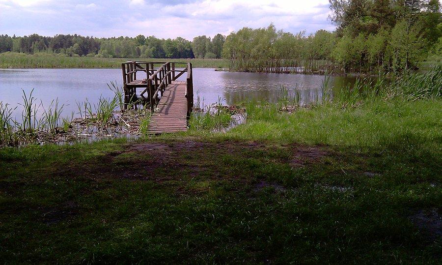 Widok na jezioro