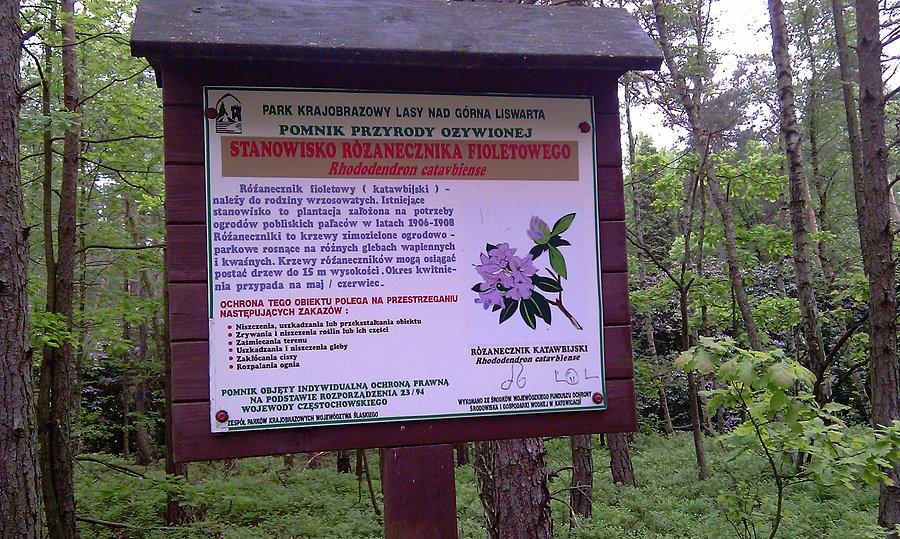 Tablica informacyjna