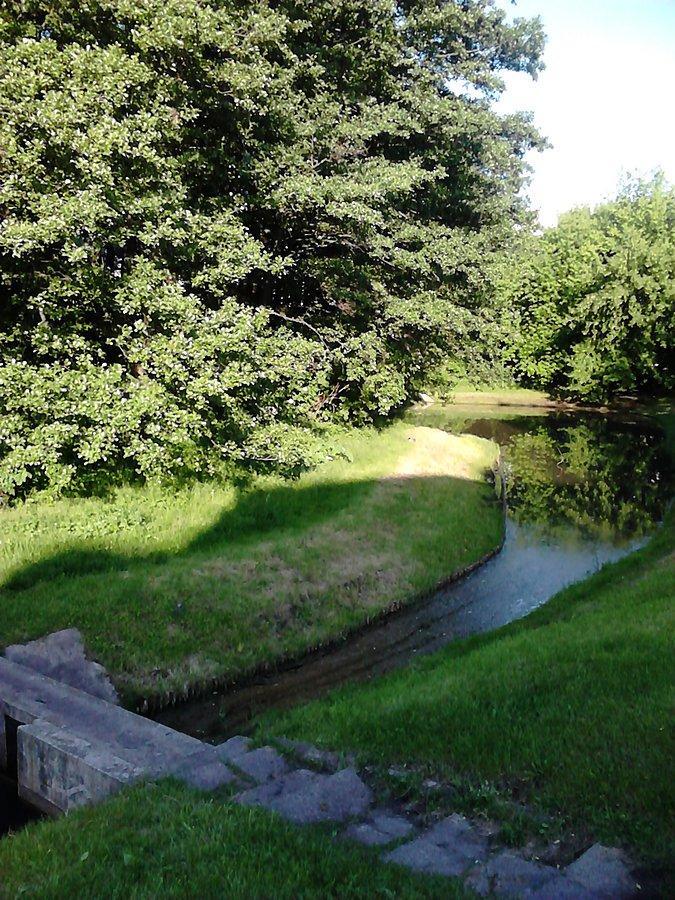 Park Olszynka