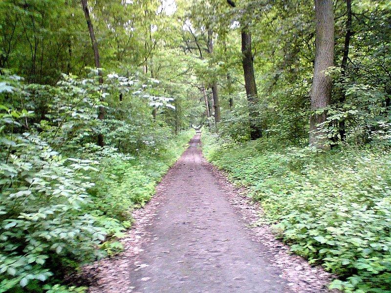 Park Krajobrazowy Promno - jazda zielonym szlakiem