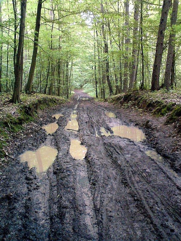 Park Krajobrazowy Promno - błotna przeprawa