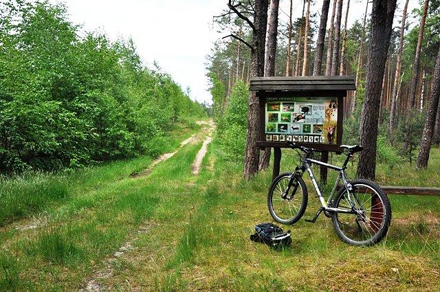 Ścieżka przyrodnicza - terenowo do Walkowic