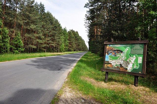 W końcu po 20 km pojawił się asfalt