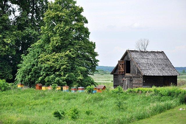 Zabudowania przy śluzie wraz z kolorową pasieką