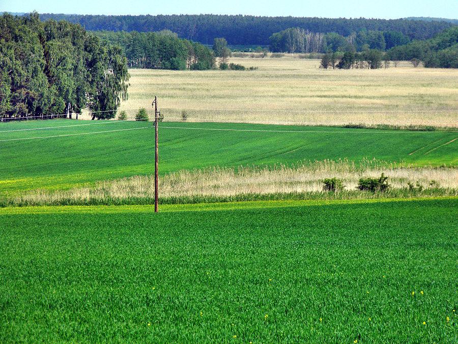 Otwarte, kolorowe przestrzenie między Löcknitz i Plöwen