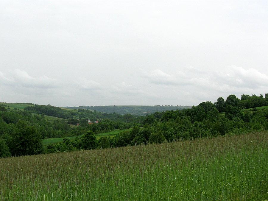 Czarny szlak do Błażowej
