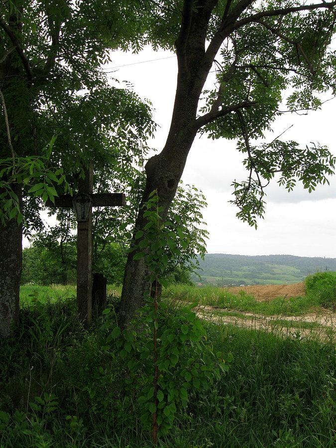 Między Hartą, a Futomą