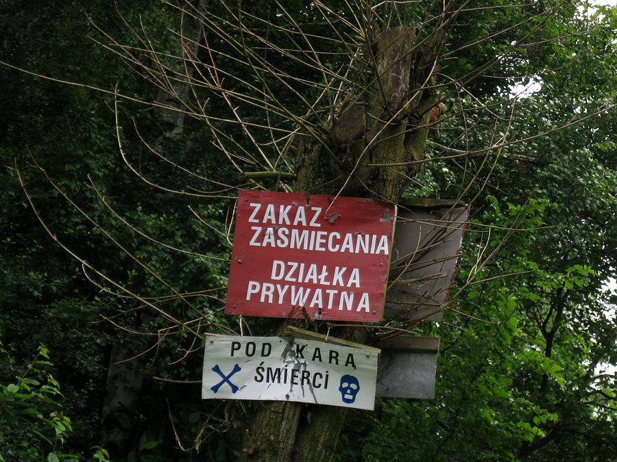 Strach się bać
