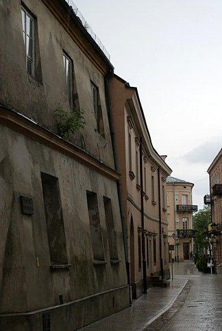 Drzewo rosnące na jednej z kamienic