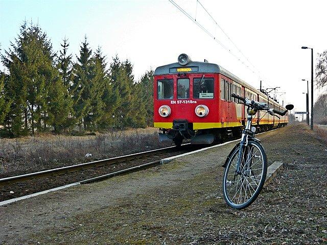 Pociąg wjeżdża na przystanek w Goworowie