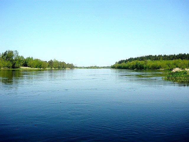Rzeka Narew