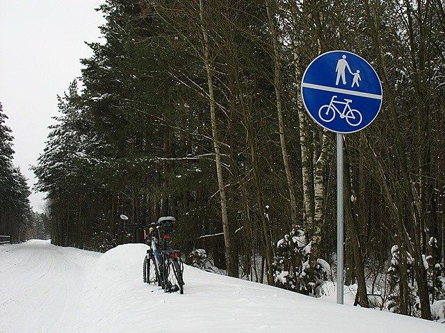 Droga rowerowa w Siarkach