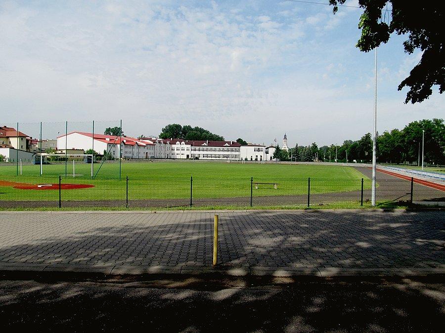 Domaniewice