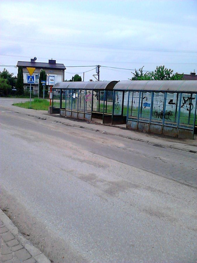 Pętla autobusowa wizytówką Truskawia