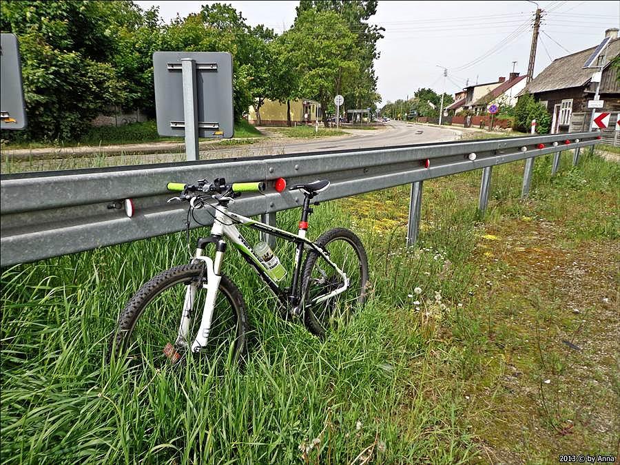 Kolejny jakims tam postój. Groszek się chciał zakamuflować w wysokiej trawie :P