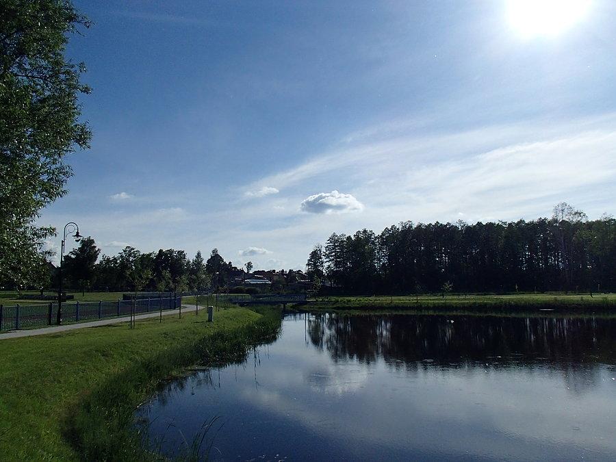 Park w Mrozach - Jeziorko