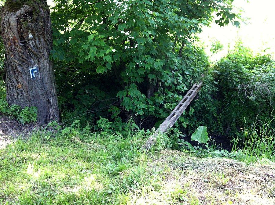 Niezwykle przyjazna oraz nie wybaczająca błędów kładka na niebieskim szlaku karpackim