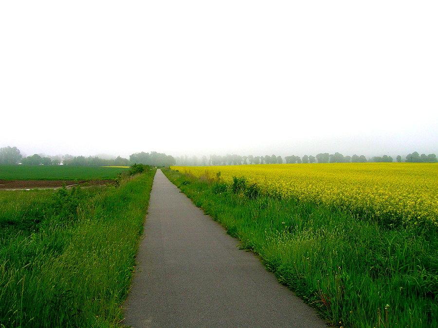 Scieżka rowerowa ciąg dalszy