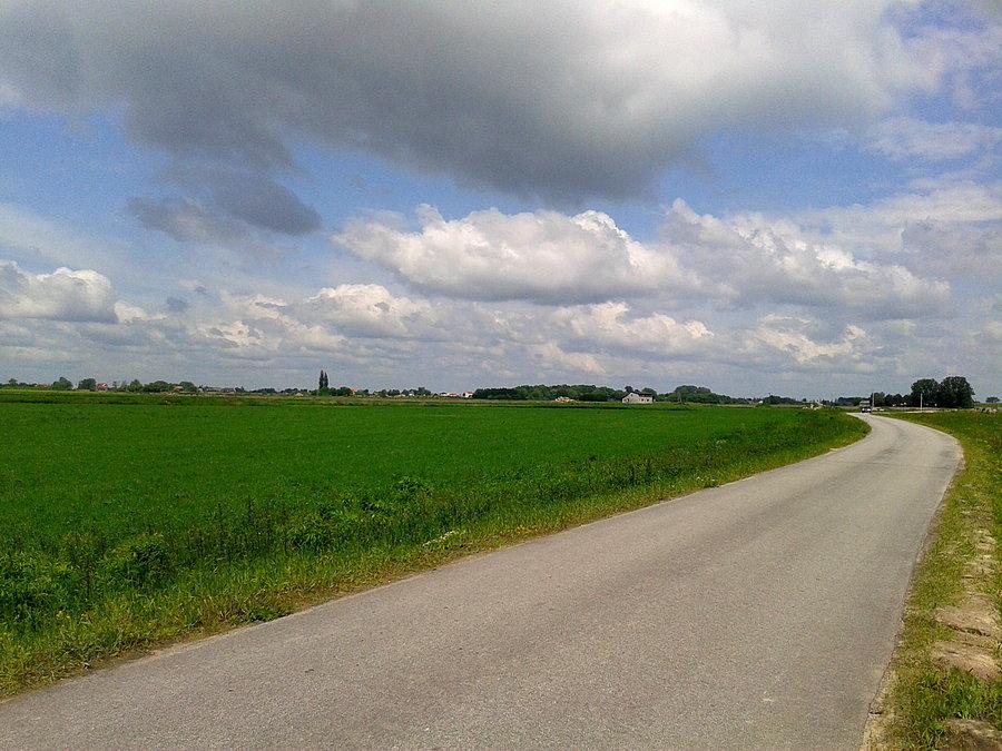 Droga serwisowa wzdłuż A2 okolice wsi Izdebno Nowe