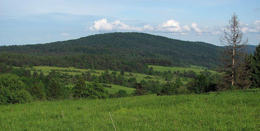 Górki MPNu z okolicy Banicy