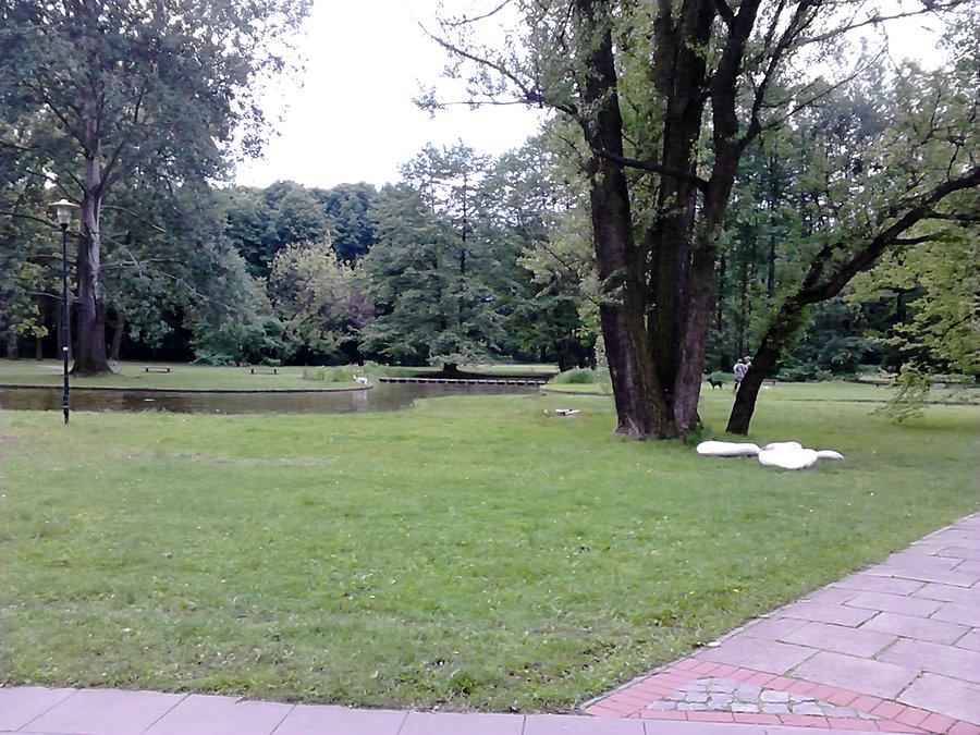 W parku