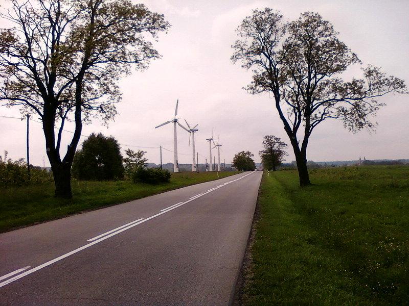 Wiatraki w Budach Dłutowskich