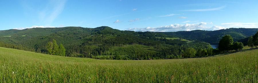 Panorama