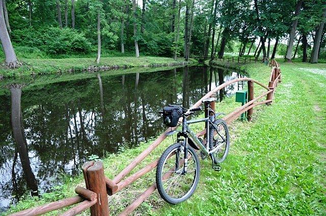 W parku przy Nadleśnictwie Krucz
